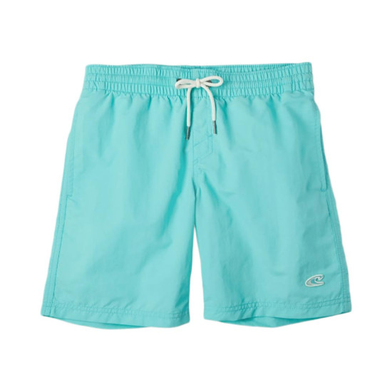 O'neill Παιδικό μαγιό Vert Shorts O'neill Παιδικό μαγιό Vert Shorts